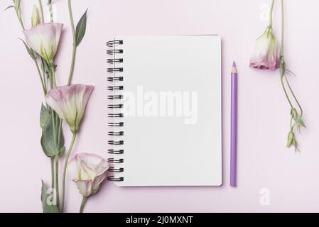 Eustoma flowers blank spiral notebook with purple pencil pink background Stock Photo