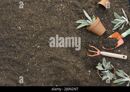 Arranged tools gardening soil (1) Stock Photo