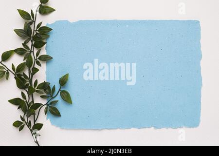 Artificial green twig near blue torn paper white background Stock Photo
