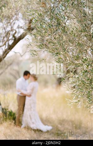 Green branches of an olive tree on the background of the hugs of the bride and groom Stock Photo