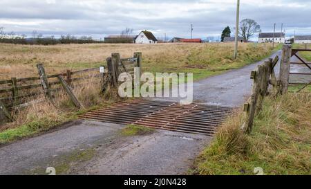 A cattle grid on a farm road Stock Photo