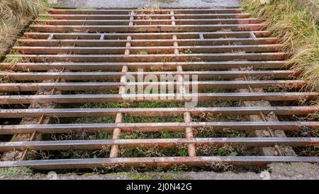 Close up of a rust cattle grid on a farm road Stock Photo