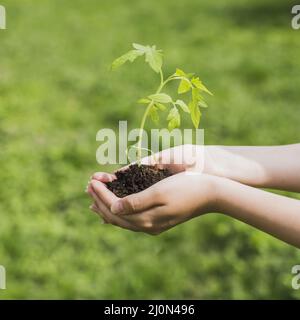 Environment volunteer concept Stock Photo