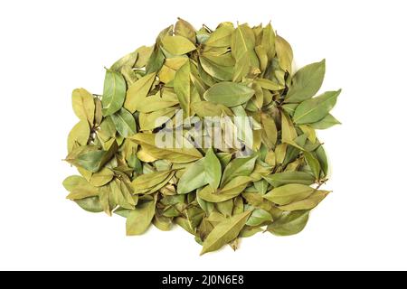 Pile of laurel leaves  isolated on white. View from above Stock Photo