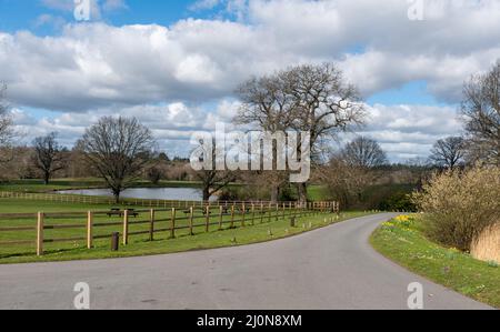 View of Coworth Park, a country hotel in parkland near Ascot, Berkshire, England, UK Stock Photo