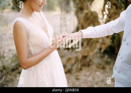 Bride puts wedding ring on groom's finger among trees in olive grove, close-up Stock Photo