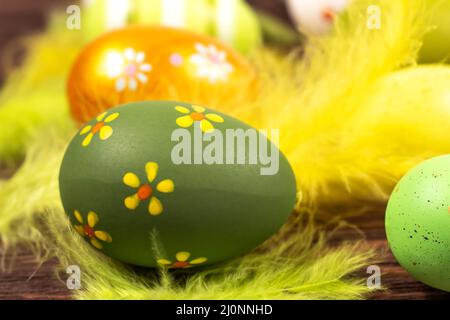 Colorful Easter eggs with bright feathers on a dark wooden background. Close-up. Easter concept. Stock Photo