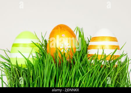 Multi-colored Easter eggs in green grass. Place for inscription, text. Easter concept. Stock Photo