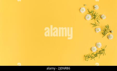 White chrysanthemum flowers leaves yellow card. High quality and resolution beautiful photo concept Stock Photo