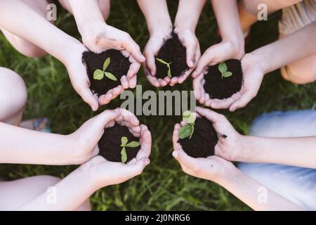 Kids holding their hands clover . High quality and resolution beautiful photo concept Stock Photo