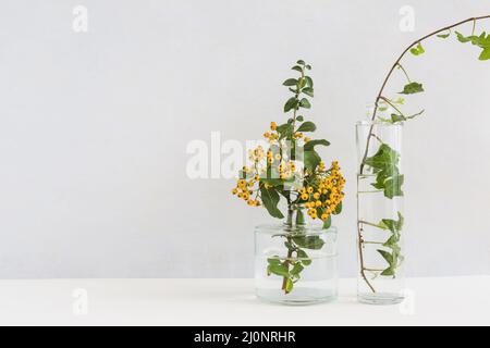 Yellow berry twig ivy glass vase desk against background. High quality and resolution beautiful photo concept Stock Photo