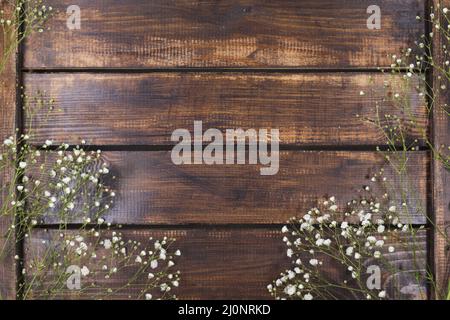 Light white flowers wood . High quality and resolution beautiful photo concept Stock Photo