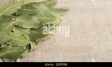 Pile dry laurel leaves . High quality and resolution beautiful photo concept Stock Photo