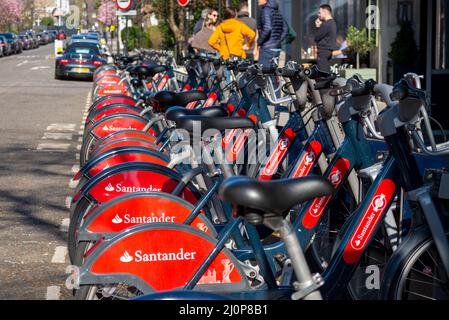 Santander Cycles in a docking station in Kensington, London. Public bicycle hire scheme in the City of London, UK sponsored by Santander. Bicycles Stock Photo