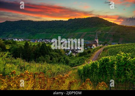 Panoramic view of the Moselle vineyards Stock Photo