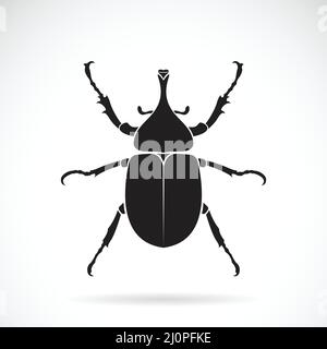 Vector of dynastinae on a white background. Insect. Animal. Beetle. Easy editable layered vector illustration. Stock Vector
