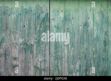 Wooden background made of grey wood covered with green paint. Wooden plank old gates. Stock Photo