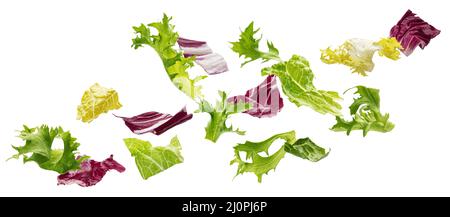 Healthy food ingredients, falling salad leaves Stock Photo