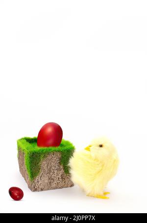 Yellow chicken with stone and grass and colored eggs on white background. Easter. Copy space Stock Photo