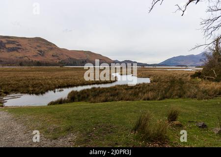 Surroundings after the Chinese bridge, river Derwent, Keswick, Cumbria, Lake District Stock Photo