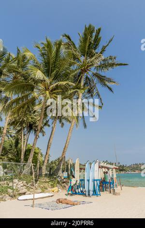 Surfboards, Mirissa Beach, Sri Lanka Stock Photo