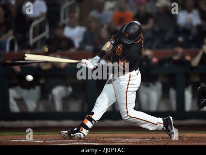 San Francisco Giants outfielder Mike Yastrzemski (5) breaks his