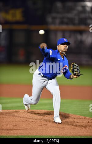 Chicago Cubs catcher Willson Contreras (40) strikes out during a MLB spring  training game, Saturday, Mar. 13, 2021, in Surprise, Ariz. (Brandon  Sloter/Image of Sport) Photo via Newscom Stock Photo - Alamy