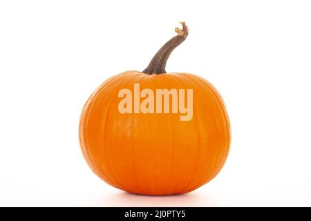 Halloween orange pumpkin whole uncut isolated on a white background Stock Photo
