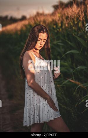 Young beautiful woman in white dress in corn field. Stock Photo