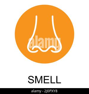 Human anatomy flat nose icon, smell health organ vector illustration, face part sign . Stock Vector