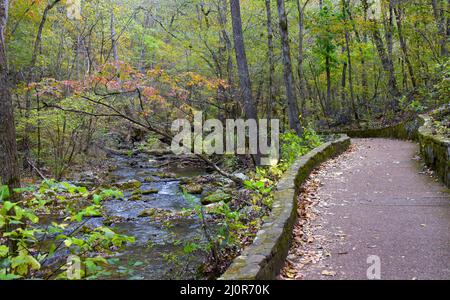 Color touches a single tree, with red, at Blanchard Springs Caverns in North Arkansas.  Stone path leads off into the distance, and tree leans over Sy Stock Photo