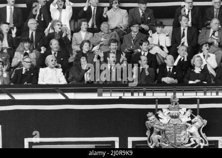 Watford chairman Elton John pictured watching the 1984 FA Cup Final at Wembley Stadium. Final score Everton 2 v Watford FC 0. 19th May 1984. Stock Photo