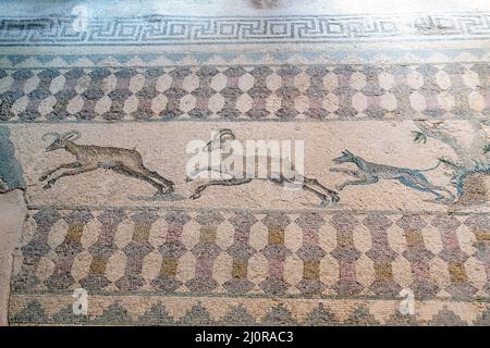 A hunting scene mosaic showing a dog chasing deer in the House of Dionysus, Paphos Archaeological park, Paphos, Cyprus. Stock Photo