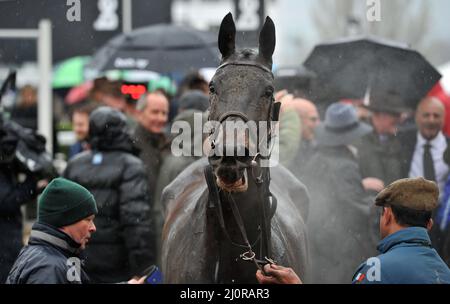 Queen Mother Champion Chase   Race winner Energumene ridden by Paul Townend      Day 2, racing at the Cheltenham Gold Cup Festival at Cheltenham Racec Stock Photo