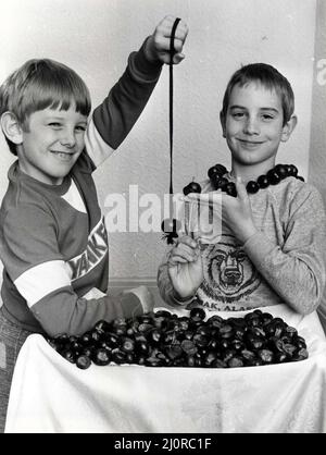 Conkers - Playing conkers, brothers, Rhys (left) aged 7 and Huw Pockett, aged 8, pictured at their home at Peny-lan Place, Penylan, Cardiff. 28th November 1984. Stock Photo