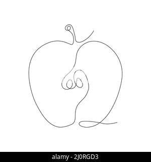 Apple fruit continuous line art. Vector isolated on white. Stock Vector