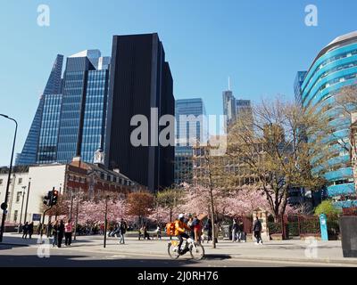 Aldgate Square, Pink Blossom and modern tower block in the city of London, England Stock Photo
