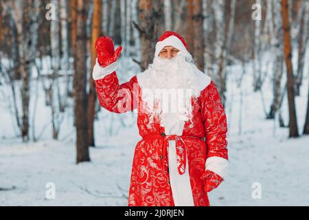 Santa Claus with long white beard walking in the winter forest Stock Photo