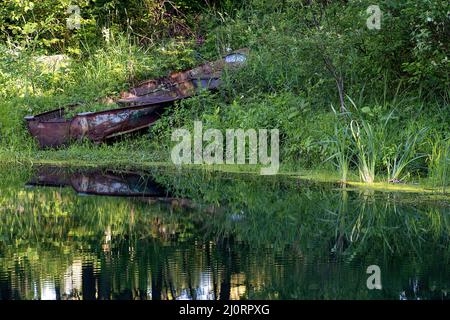 Rusty rowboat in green weeds by still water pond Stock Photo