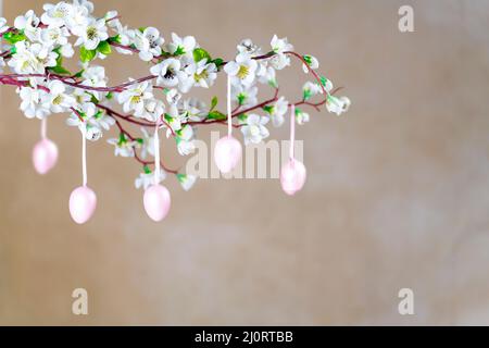 Pink Colored Easter eggs hanging on branch with white flowers Stock Photo