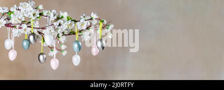 Colored Easter eggs hanging on branch with white flowers Stock Photo