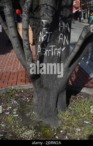 Chalked sign on tree says I Am Not An Ashtray warning people not to put waste around the tree Stock Photo