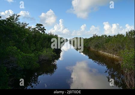 Buttonwood Canal in Everglades National Park, Florida looking toward Florida Bay. Stock Photo