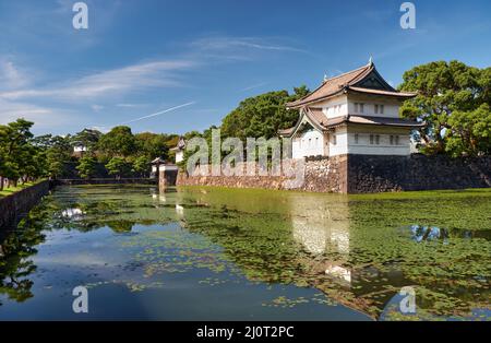 The Kikyo-bori moat overgrown with water plants around the Tokyo Imperial Palace. Tokyo. Japan Stock Photo
