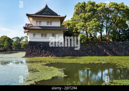 The Kikyo-bori moat overgrown with water plants around the Tokyo Imperial Palace. Tokyo. Japan Stock Photo