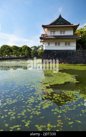 The Kikyo-bori moat overgrown with water plants around the Tokyo Imperial Palace. Tokyo. Japan Stock Photo