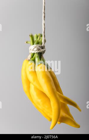 Yellow chili peppers hanging on a string Stock Photo