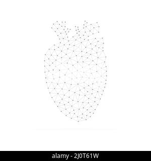 Human heart with low poly black connected dots. Internal organ with triangular linear shapes. Stock Vector
