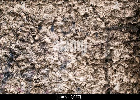 Wall facade as natural background, discolored dirty plaster Stock Photo