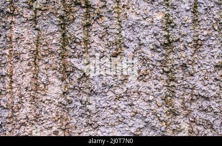 Wall facade as natural background, discolored dirty plaster Stock Photo